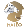 Maleo bar logo